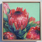 Bunch Of Red & Pink Protea Flowers Print
