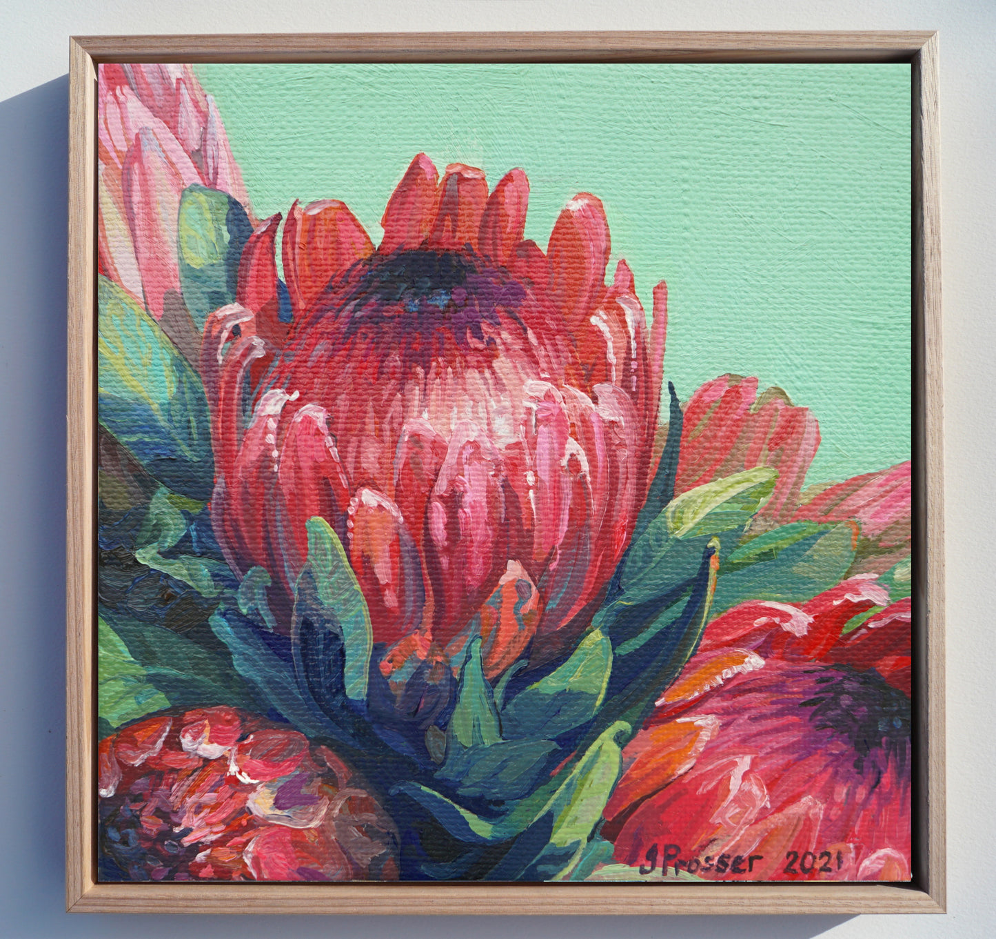 Bunch Of Red & Pink Protea Flowers Print
