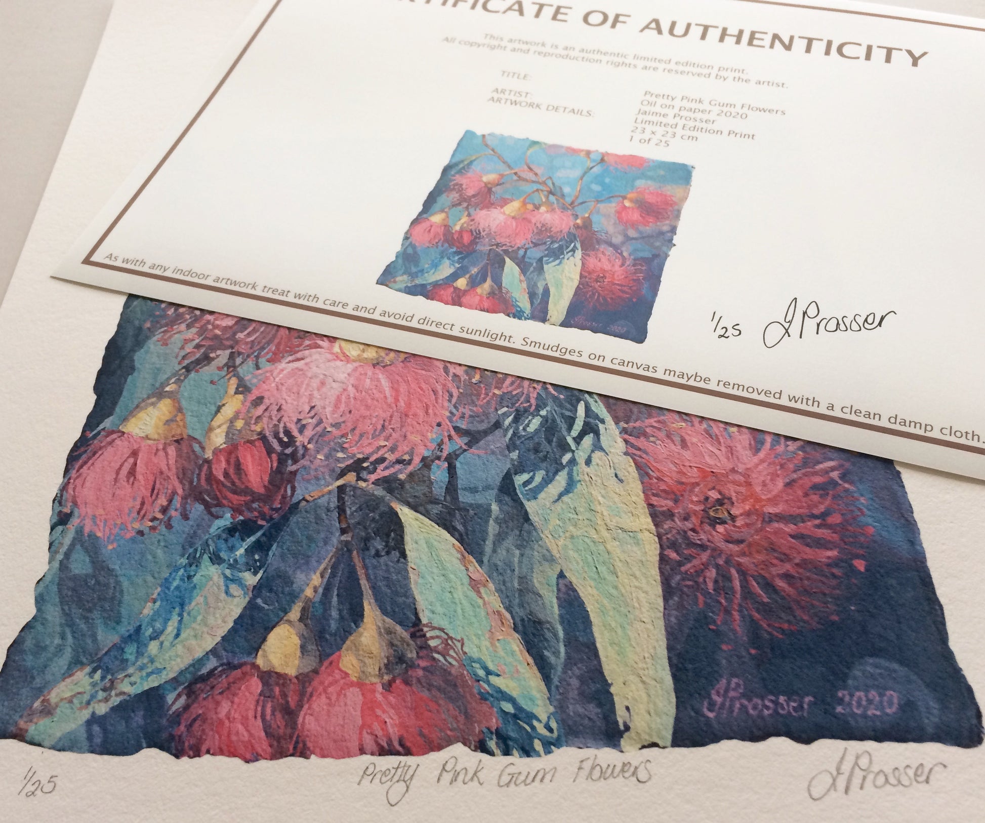 Australian flower art print by Jaime Prosser