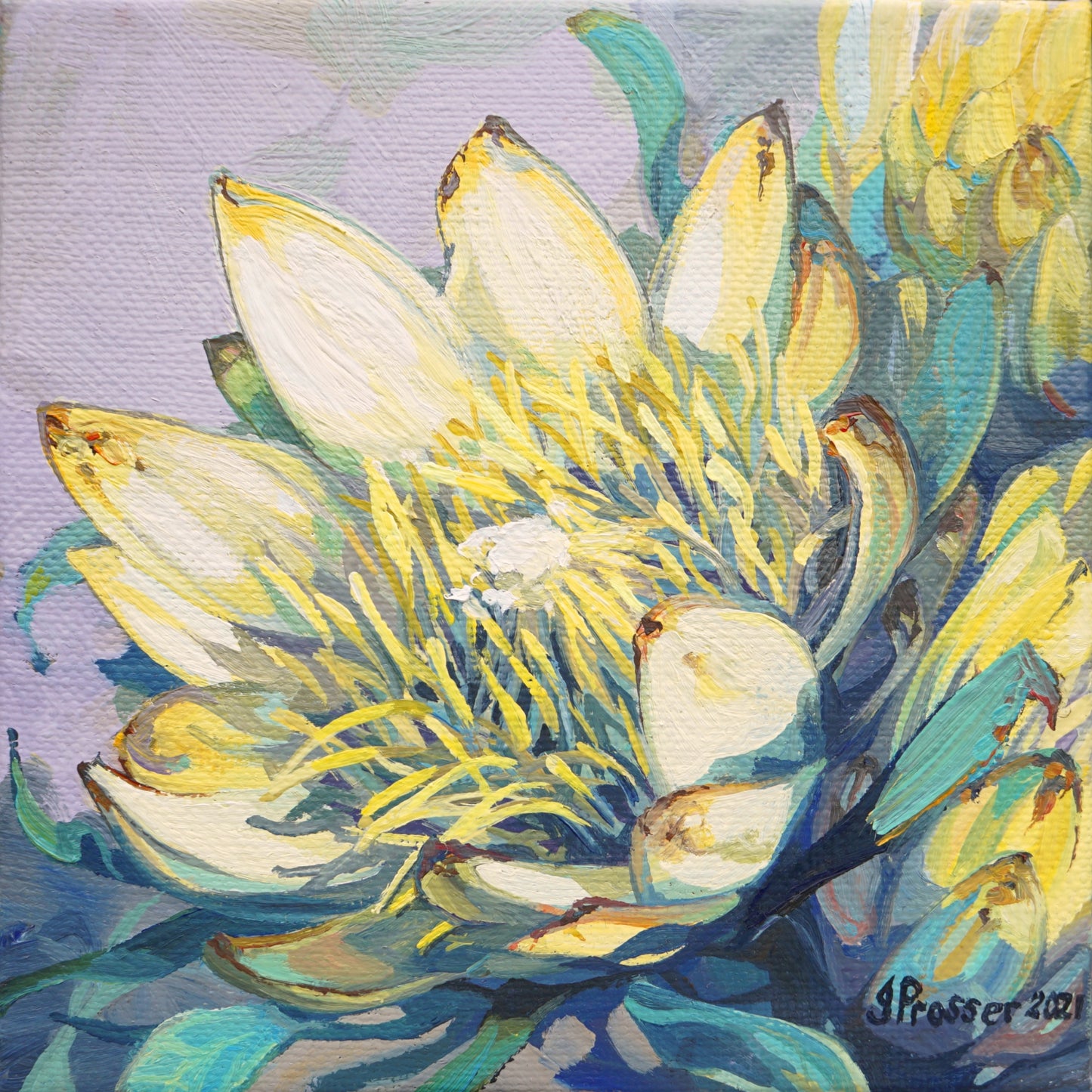 Yellow Protea Flowers Art Print