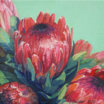 Bunch Of Red & Pink Protea Flowers Print