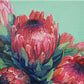 Bunch Of Red & Pink Protea Flowers Card