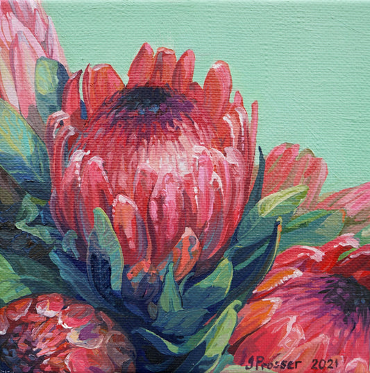 Bunch Of Red & Pink Protea Flowers Card