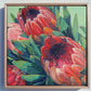 Red & Pink Protea Flowers Art Print