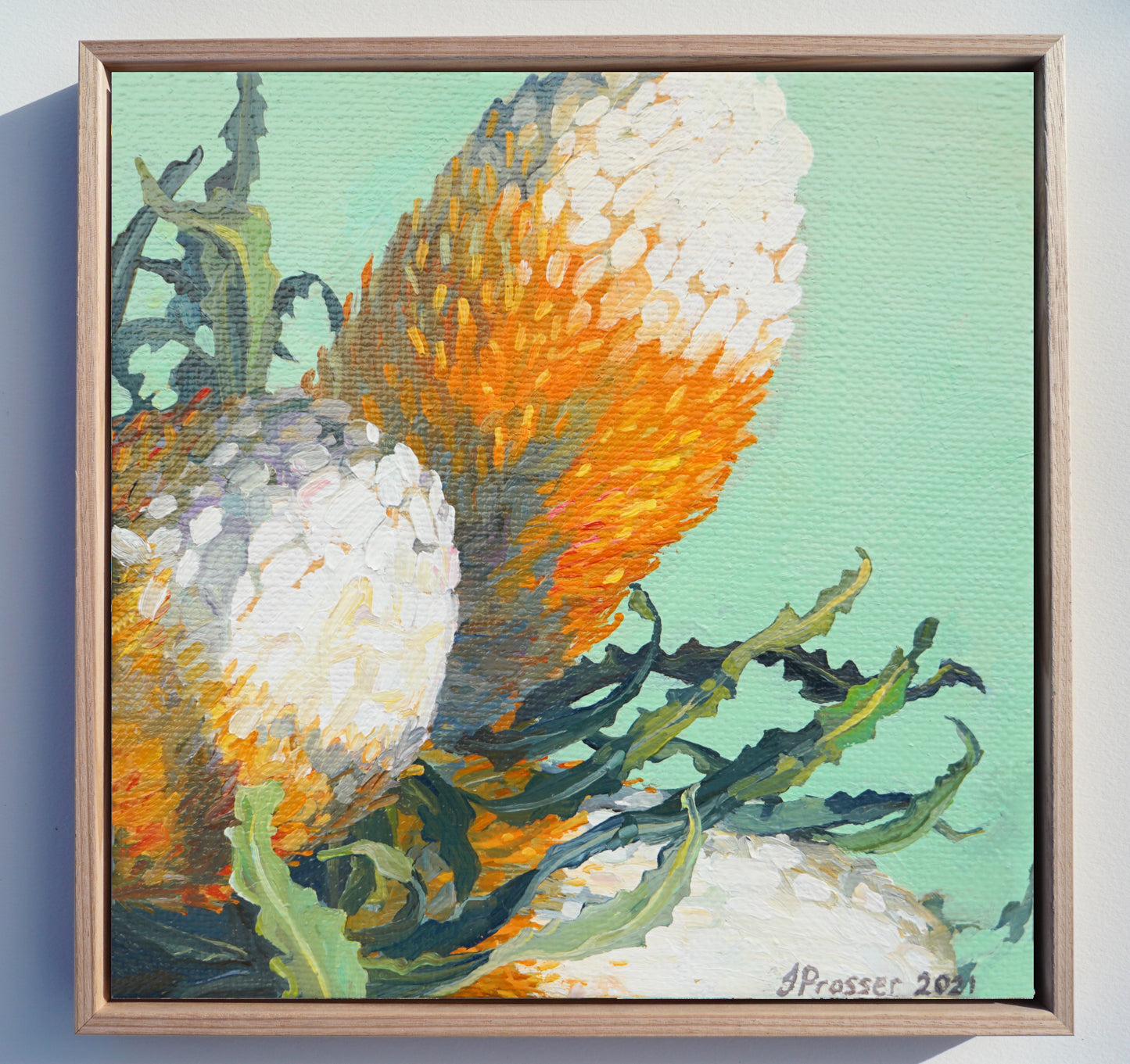 Three Banksia Flowers Art Print