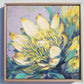Yellow Protea Flowers Art Print